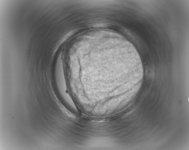 X0000065250725200603172203