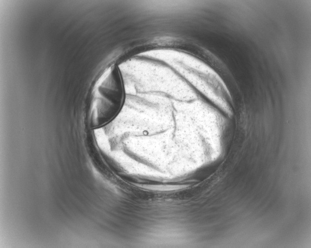 X0000065250730200603172203