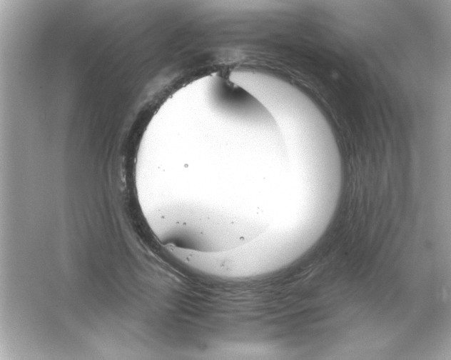 X0000065250731200603172203