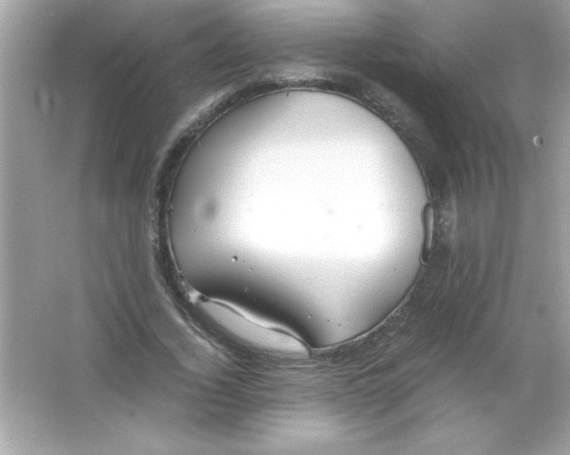 X0000065250732200603172203