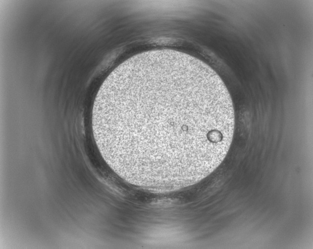 X0000065250734200603172203