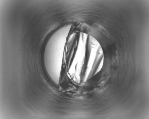 X0000065250735200603172203