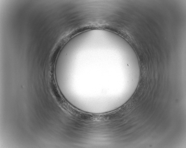 X0000065250736200603172203