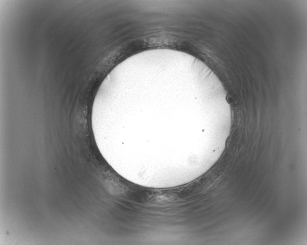 X0000065250737200603172203