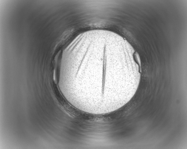 X0000065250738200603172204