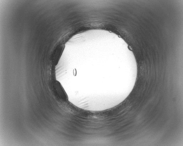 X0000065250739200603172204