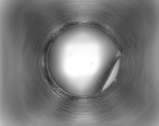 X0000065250740200603172204