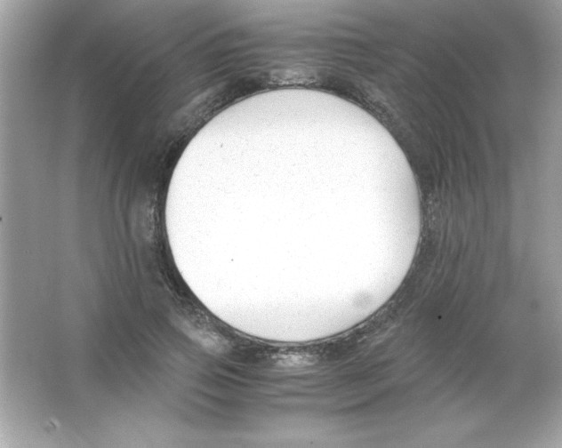 X0000065250741200603172204