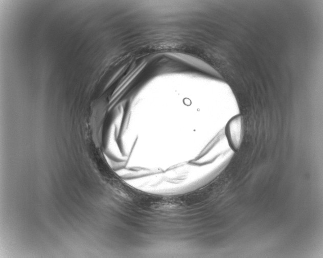 X0000065250743200603172204