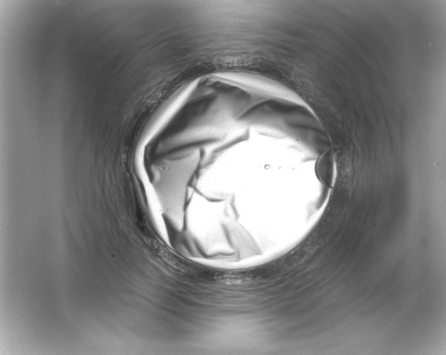 X0000065250746200603172204