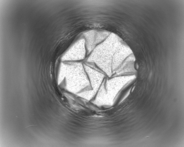 X0000065250747200603172204