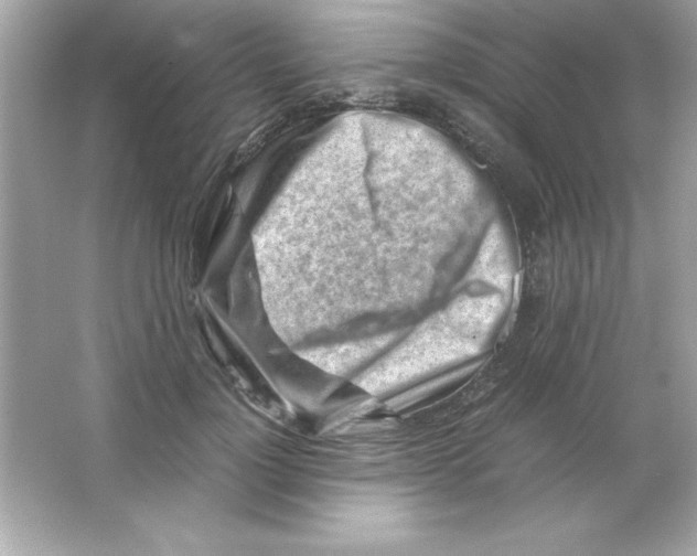 X0000065250748200603172204