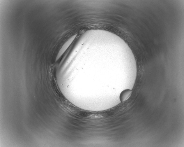 X0000065250749200603172204