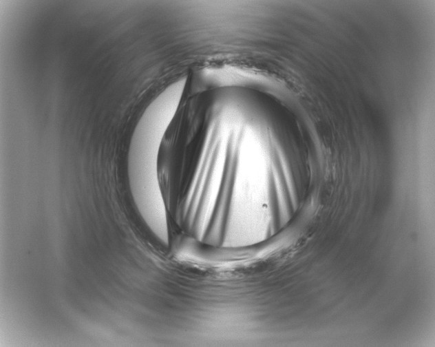 X0000065250750200603172204