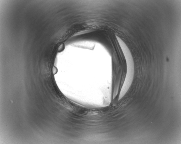 X0000065250751200603172204