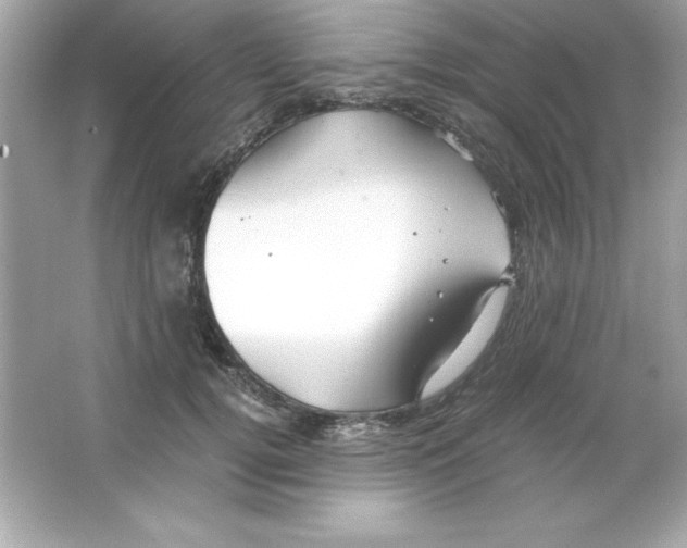 X0000065250752200603172204