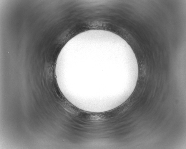 X0000065250753200603172204