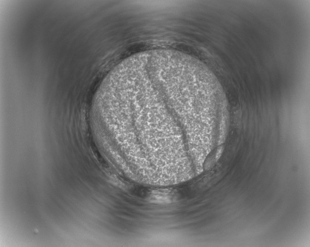 X0000065250757200603172204