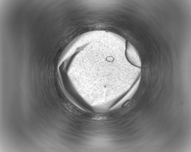 X0000065250760200603172204