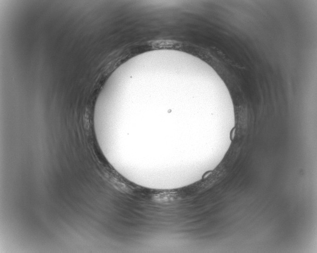 X0000065250761200603172204