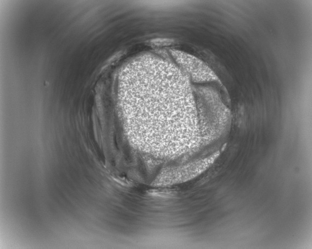 X0000065250763200603172204