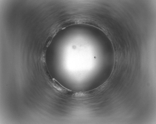 X0000065250766200603172204