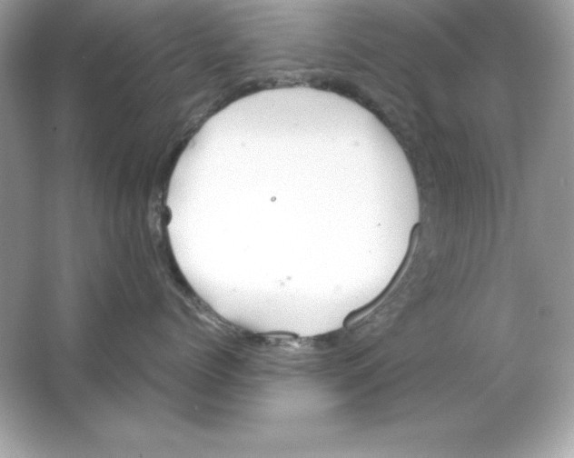 X0000065250768200603172204