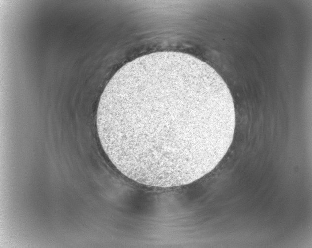 X0000065250769200603172203