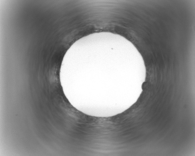 X0000065250770200603172203