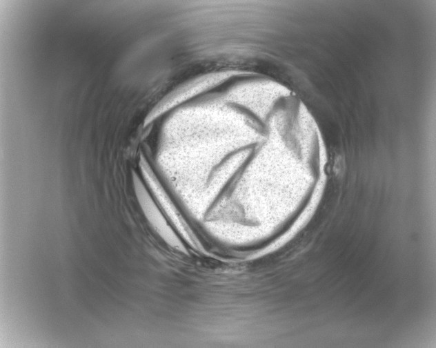 X0000065250771200603172203