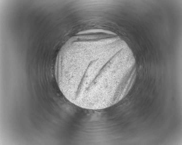 X0000065250772200603172203