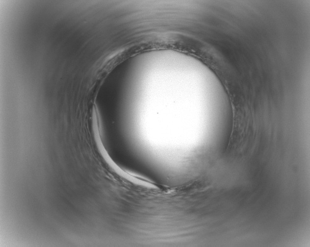 X0000065250773200603172203