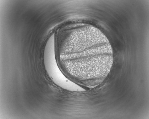 X0000065250775200603172203