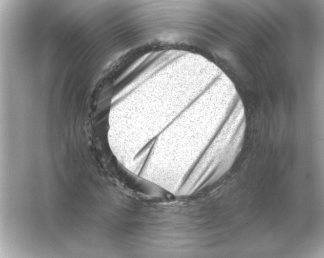 X0000065250776200603172203