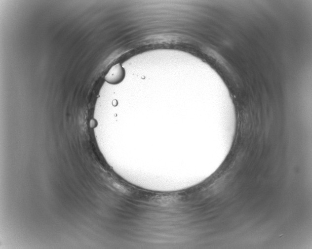 X0000065250778200603172203