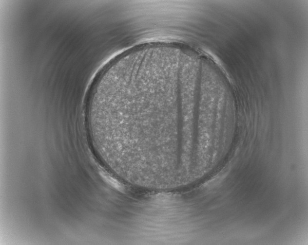 X0000065250779200603172203