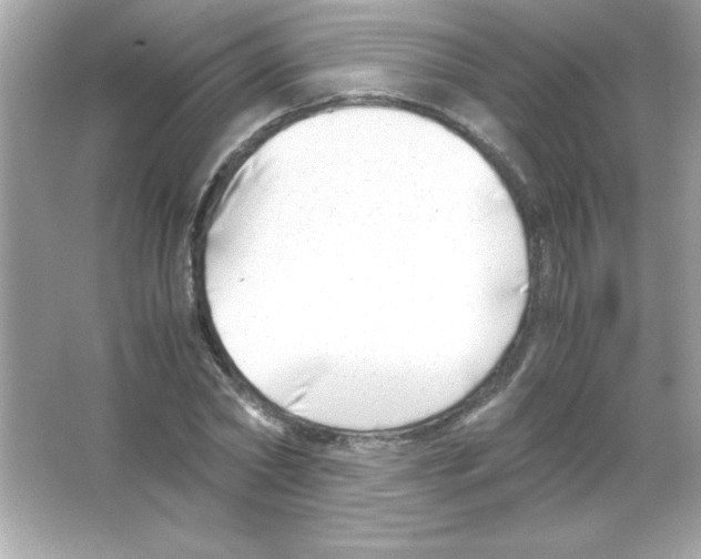 X0000065250782200603172203