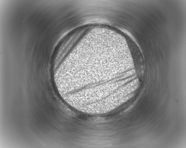 X0000065250783200603172203