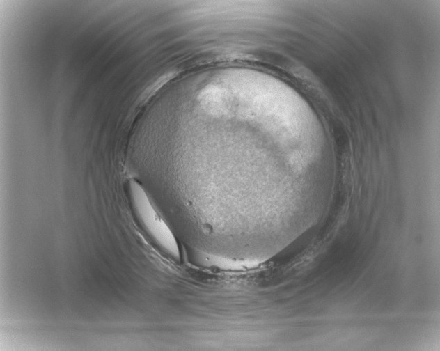 X0000065250785200603172203