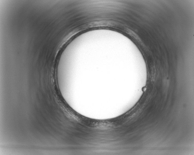 X0000065250786200603172203