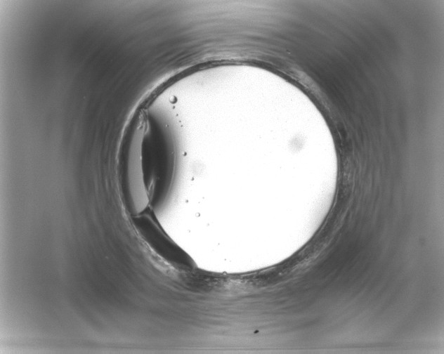 X0000065250787200603172203