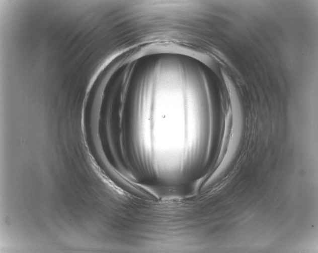 X0000065250788200603172203