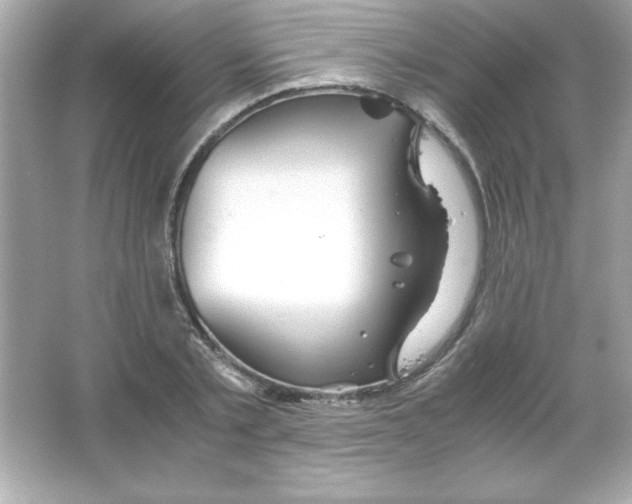 X0000065250789200603172203