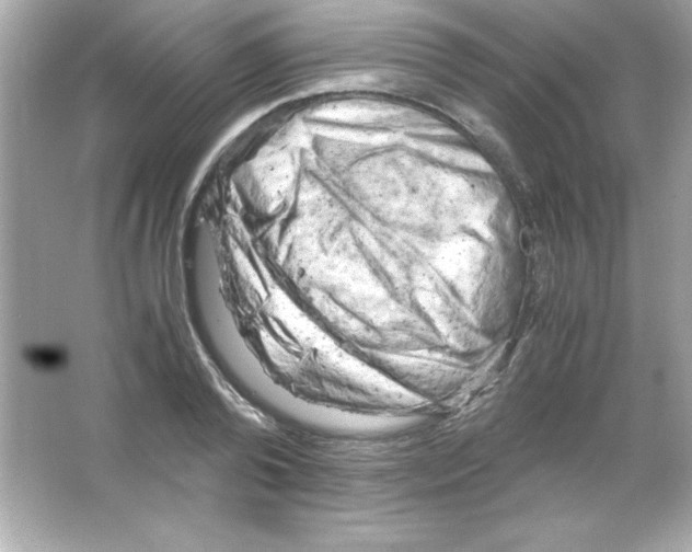 X0000065250792200603172203