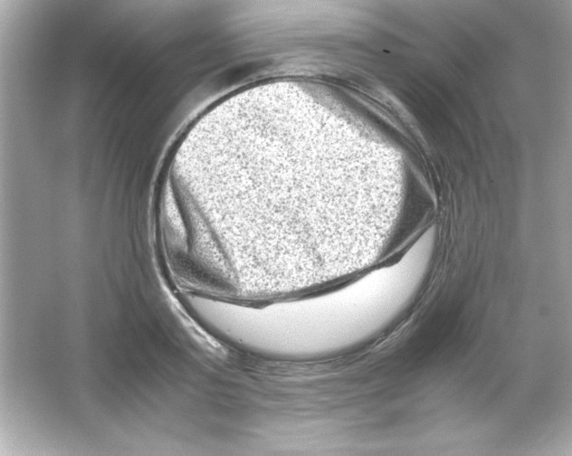 X0000065250795200603172203