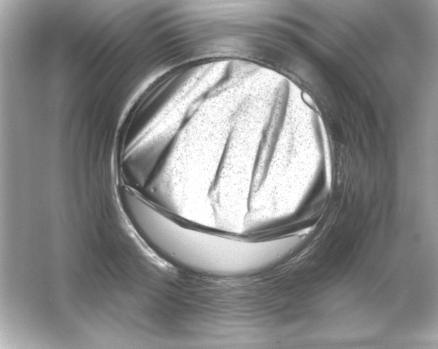 X0000065250796200603172203