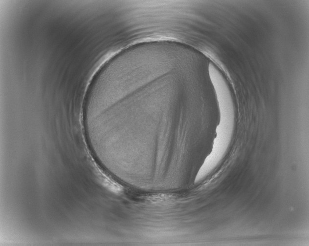 X0000065250797200603172203