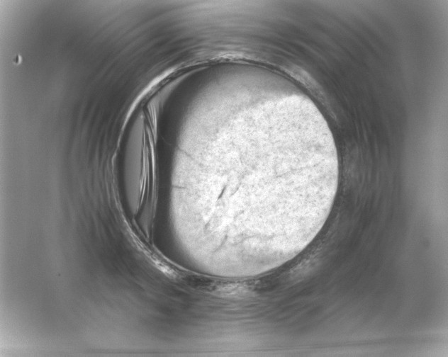 X0000065250798200603172203