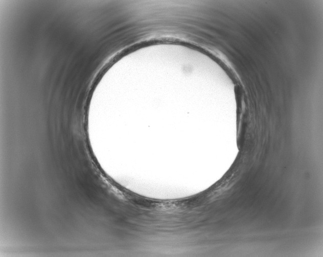 X0000065250799200603172203