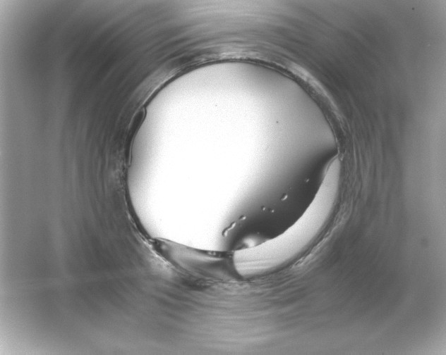 X0000065250801200603172203